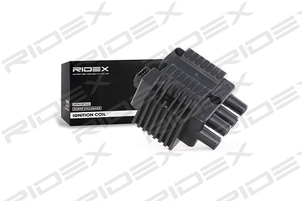 Ignition Coil (689C0149)