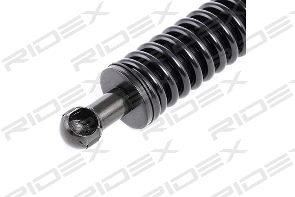 Gas Spring, boot/cargo area