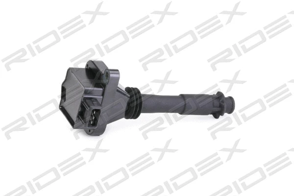 Ignition Coil (689C0306)