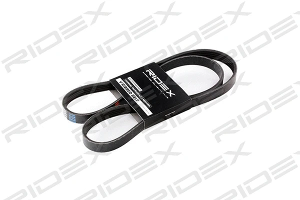 V-Ribbed Belt (305P0193)