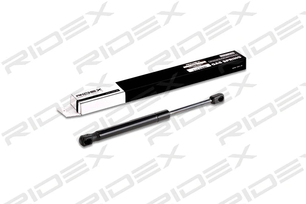 Gas Spring, boot/cargo area (219G0156)