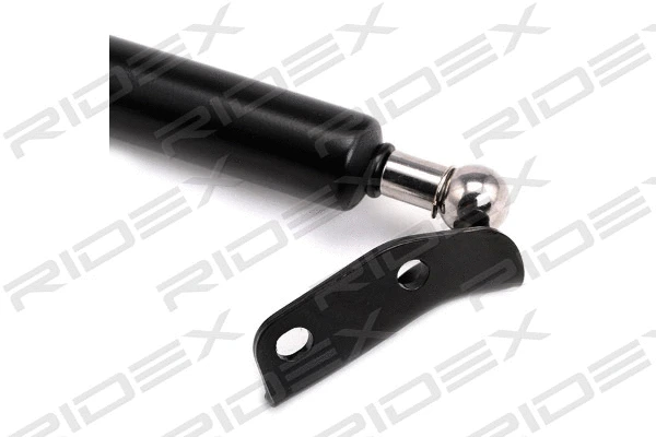 Gas Spring, boot/cargo area (219G0863)