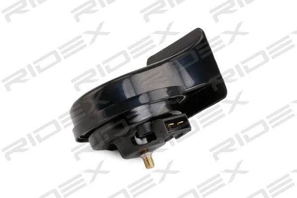 Trumpet Horn (196A0002)