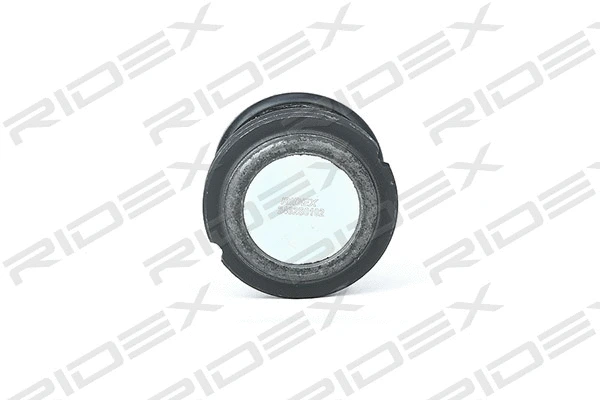 Ball Joint (2462S0102)