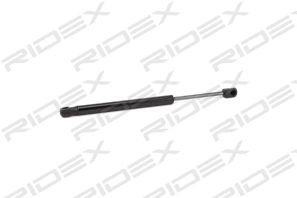 Gas Spring, boot/cargo area (219G0825)