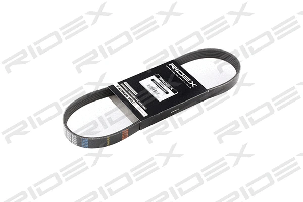 V-Ribbed Belt (305P0236)