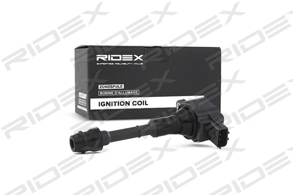 Ignition Coil (689C0094)