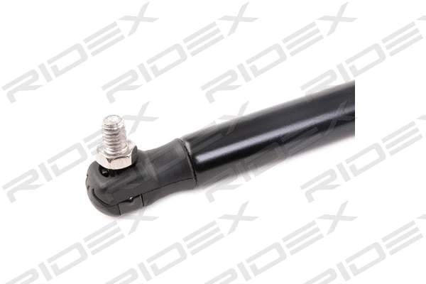 Gas Spring, boot/cargo area