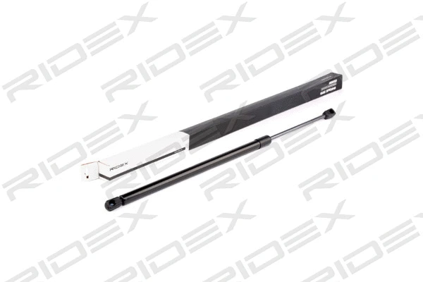 Gas Spring, boot/cargo area