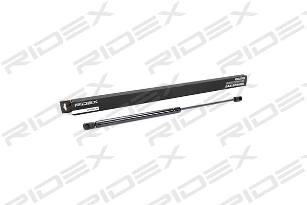 Gas Spring, boot/cargo area (219G0120)