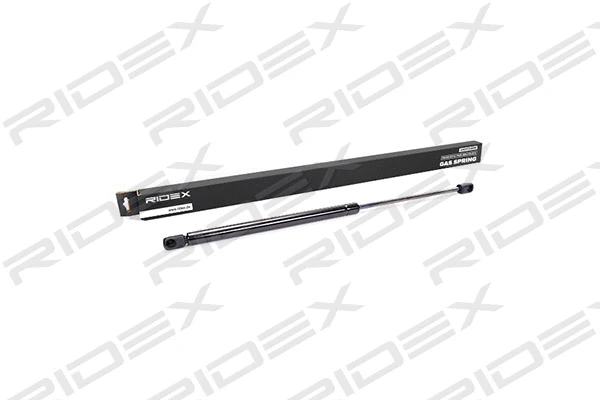 Gas Spring, boot/cargo area (219G0139)