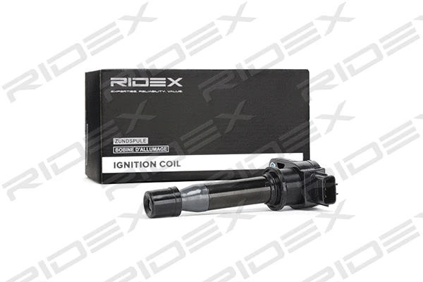 Ignition Coil (689C0246)