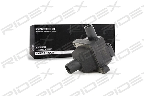 Ignition Coil (689C0077)