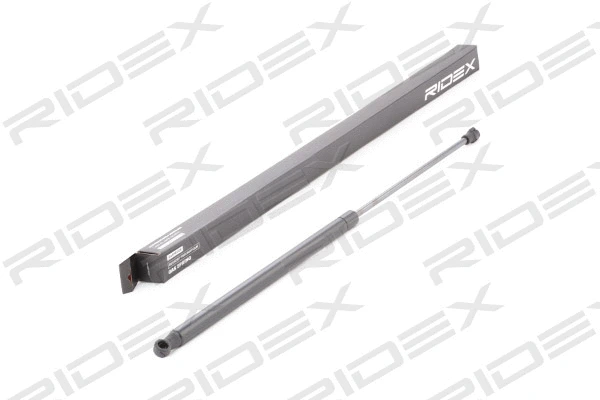 Gas Spring, boot/cargo area