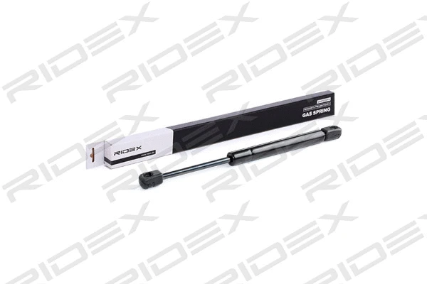 Gas Spring, boot/cargo area