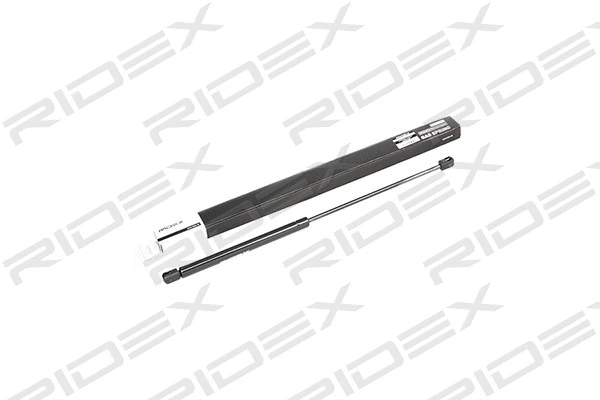 Gas Spring, boot/cargo area (219G0058)
