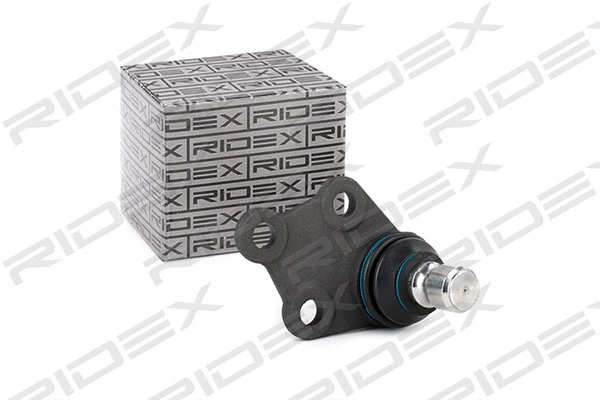 Ball Joint (2462S0076)