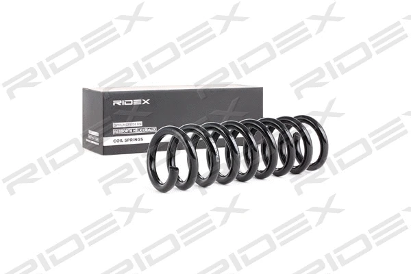 Suspension Spring (188C0058)