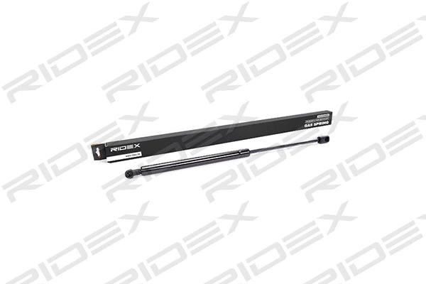 Gas Spring, boot/cargo area (219G0095)