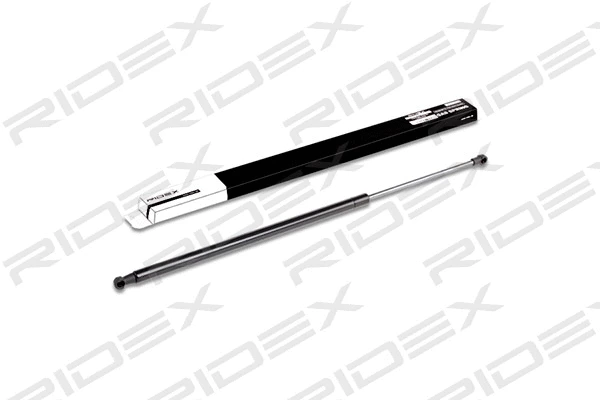 Gas Spring, boot/cargo area (219G0134)
