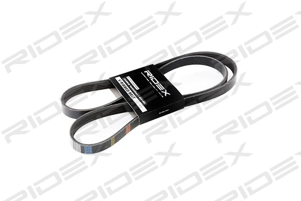 V-Ribbed Belt (305P0137)