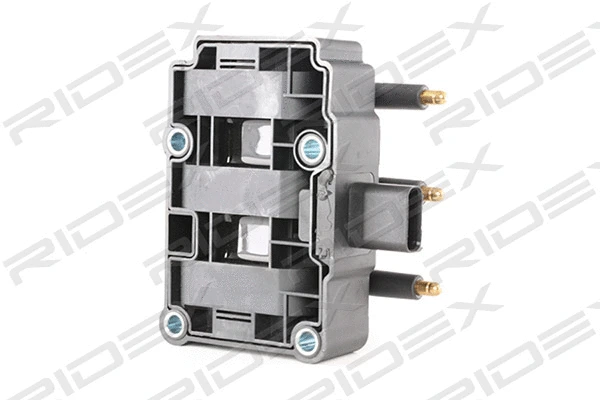 Ignition Coil (689C0192)