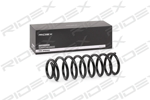 Suspension Spring