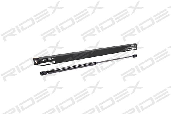 Gas Spring, boot/cargo area (219G0111)