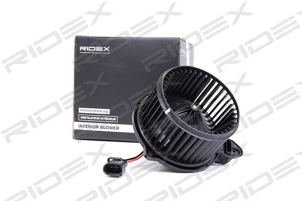 Interior Blower