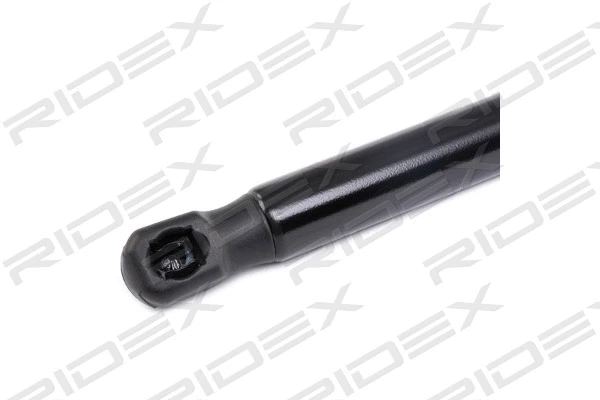 Gas Spring, boot/cargo area (219G0427)