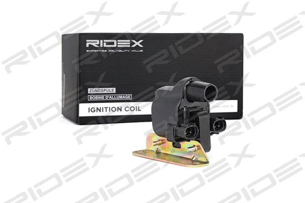 Ignition Coil (689C0140)