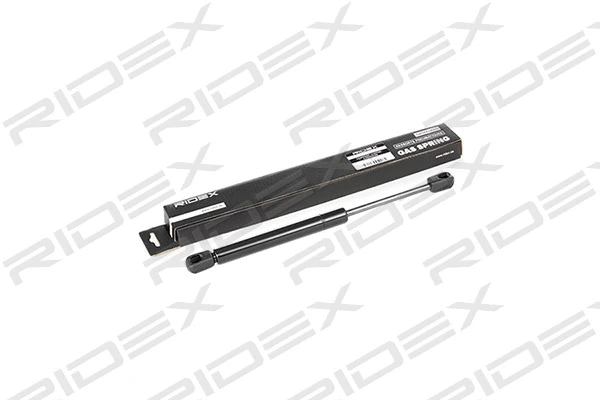 Gas Spring, boot/cargo area (219G0518)