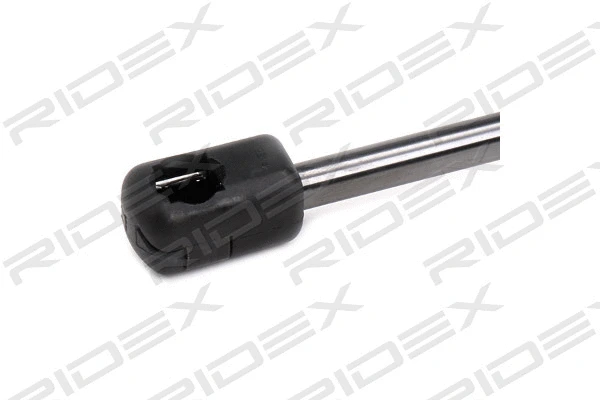 Gas Spring, boot/cargo area (219G0690)