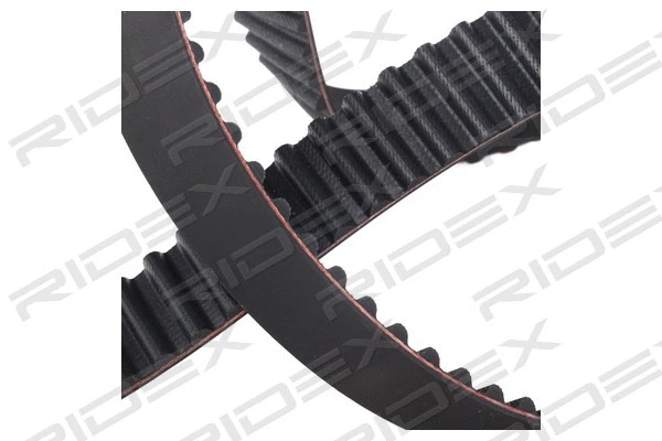 Timing Belt (306T0059)