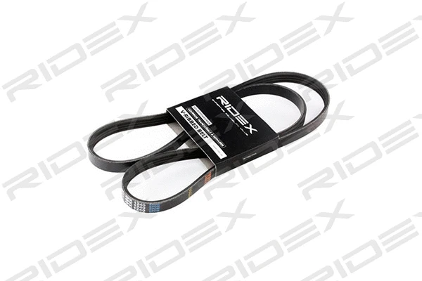 V-Ribbed Belt (305P0023)