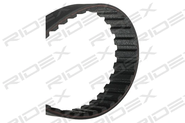 Timing Belt