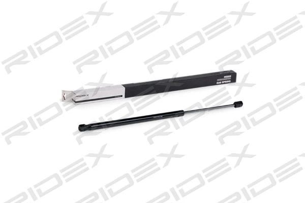Gas Spring, boot/cargo area (219G0689)
