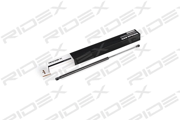 Gas Spring, boot/cargo area (219G0480)