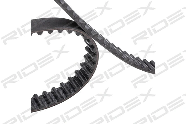 Timing Belt Kit (307T0032)