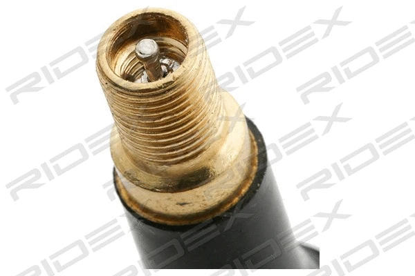 Wheel Sensor, tyre-pressure monitoring system (2232W0025)