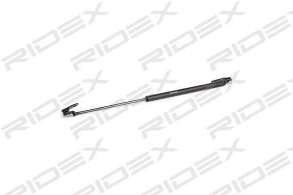 Gas Spring, boot/cargo area