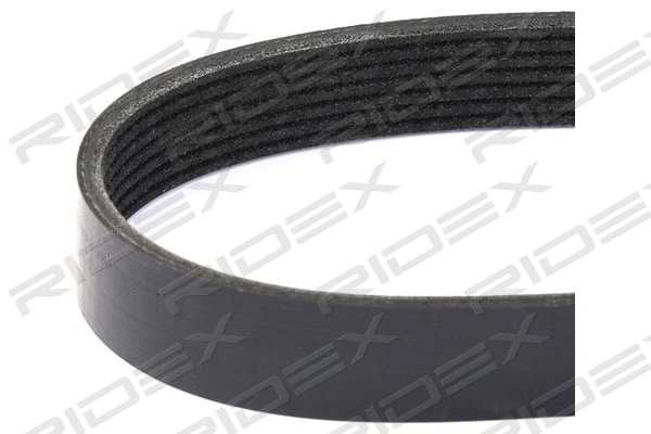 V-Ribbed Belt (305P0327)