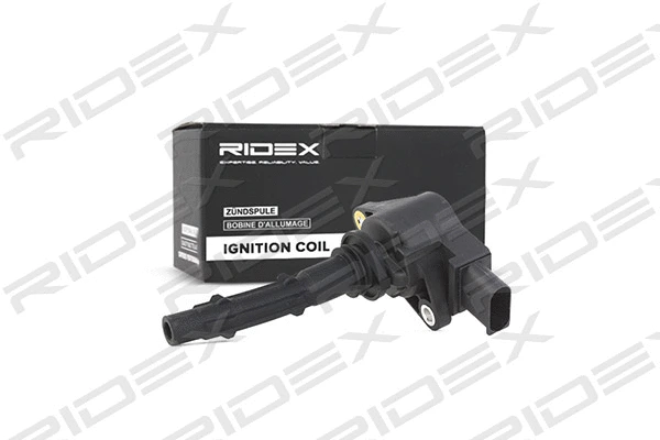 Ignition Coil (689C0048)