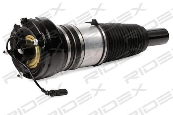 Air Suspension Strut