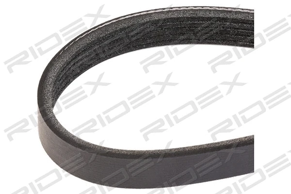 V-Ribbed Belt (305P0176)