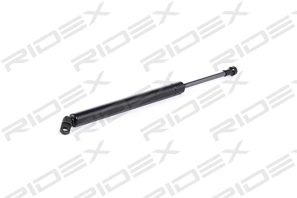 Gas Spring, boot/cargo area (219G0436)
