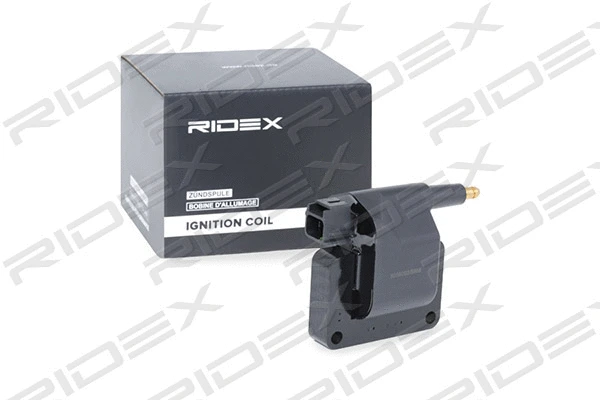 Ignition Coil (689C0180)