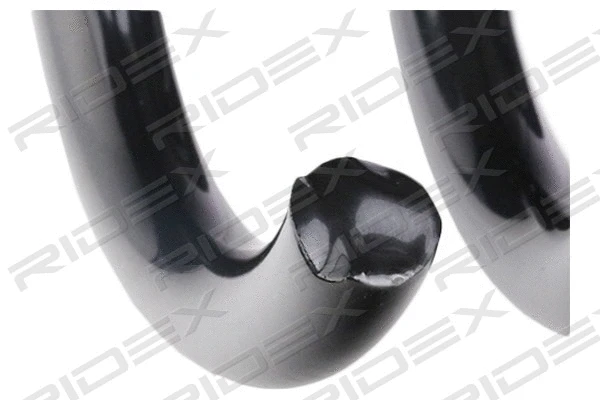 Suspension Spring (188C0421)