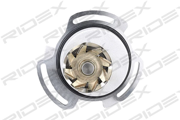 Water Pump & Timing Belt Kit
