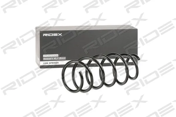 Suspension Spring (188C0109)